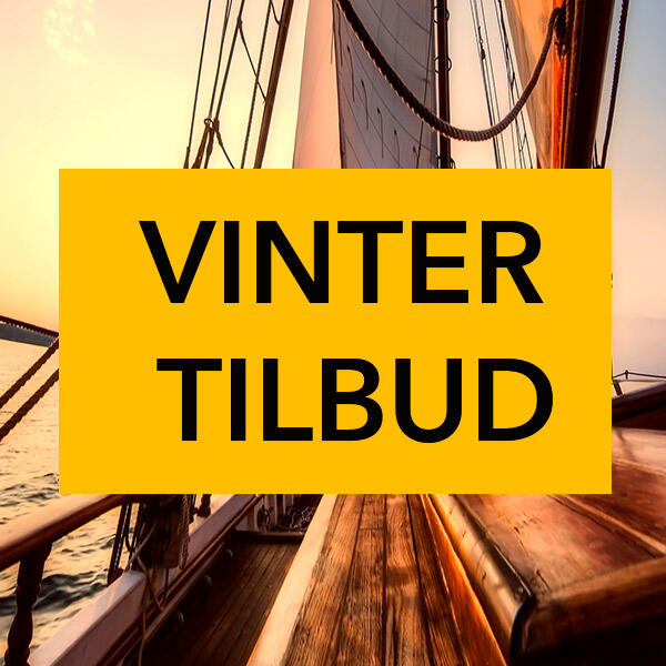 Vinter TILBUD