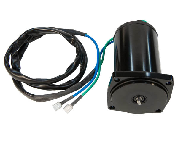 Sierra Tilt/Trim Motor. Suzuki/Honda DF40/DF50 (2001-10)