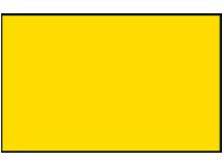 YELLOW FLAG 70X100