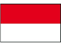 RED WHITE FLAG 70X100