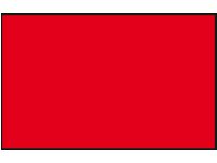 PROTEST FLAG 20X30