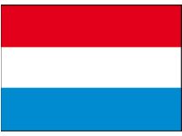 Nederlandsk flag 20x30