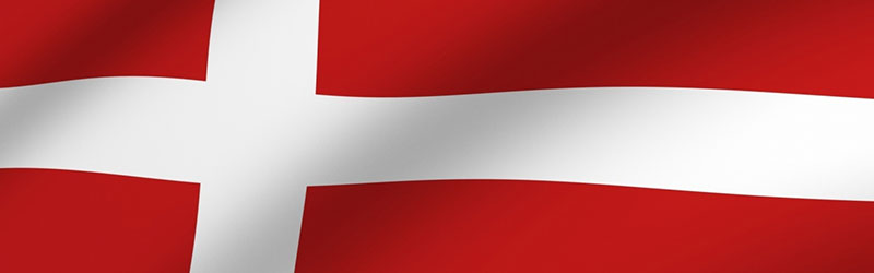 Flagge-Fahnenmast-Baatshager-und-Ruder