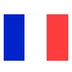 Gæsteflag Frankrig 30x45 cm