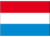 Nederlandsk flag 20x30