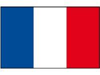 FRANCE FLAG 30X45