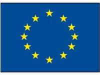 EUROP FLAG 20X30