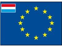 EUROPÄISCHE FLAGGE NIEDERLÄNDISCH 20X30