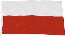 Gæsteflag Polen