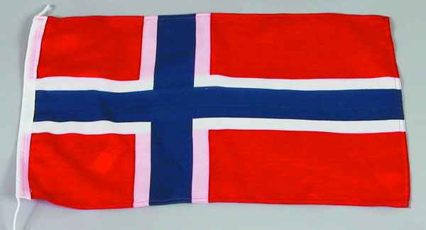 Gastfahne Norwegen 20x30 cm