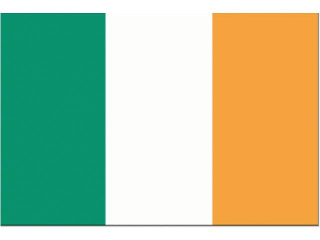 Gæsteflag Irland 20 x 30cm