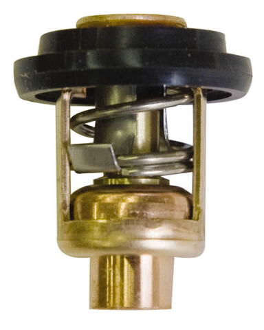 Thermostat (Seal Included)