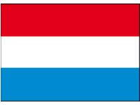 Nederlandsk flag 20x30