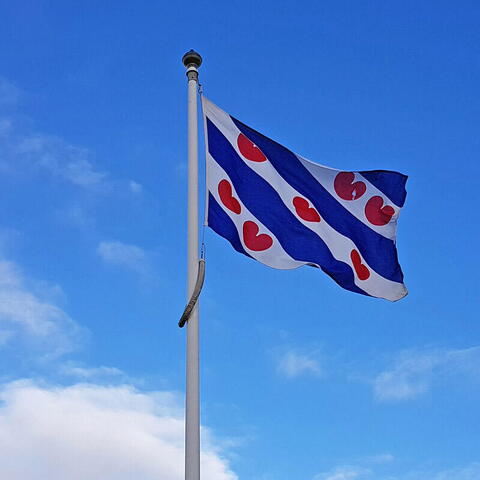 Frisisk gæsteflag