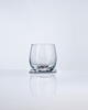 Kristall-Whiskyglas 2 Stk. Silvy
